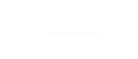 Nonprofit New York