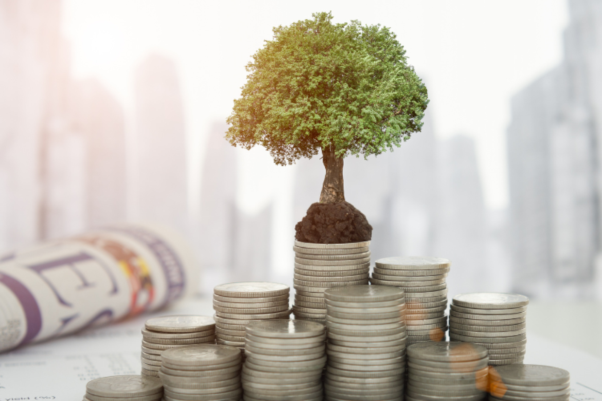 WCC Commends Mayor&rsquo;s Commitment to Address Education & Community Well-being